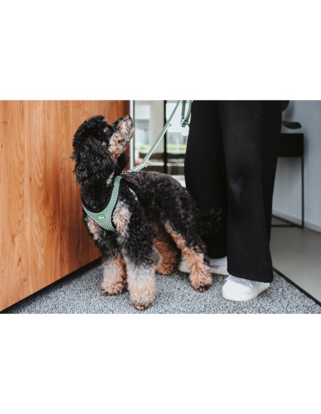 Harnais pour Chien Hunter Comfort Vert M 55-60 cm