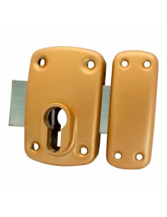 Serrure de sécurité IFAM X5 Acier Recouvrir