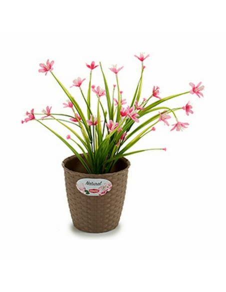 Cache-pot Stefanplast Marron Plastique 14 x 13 x 14 cm (12 Unités)