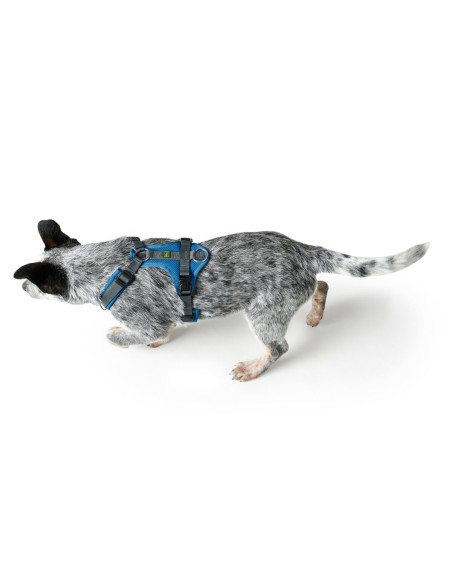 Harnais pour Chien Hunter Maldon Up Bleu 66-118 cm