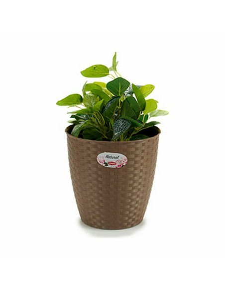 Cache-pot Stefanplast Marron Plastique 24 x 22,5 x 24 cm (6 Unités)