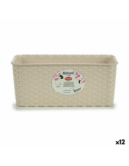 Jardinière Stefanplast Camel Plastique 13 x 11 x 29 cm (12 Unités)