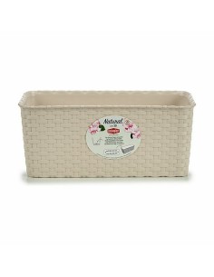 Jardinière Stefanplast Camel Plastique 13 x 11 x 29 cm (12 Unités) 2