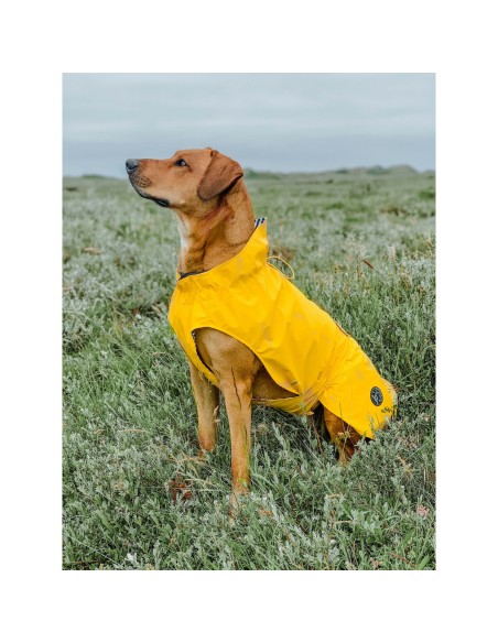 Manteau pour Chien Hunter Milford Jaune 40 cm