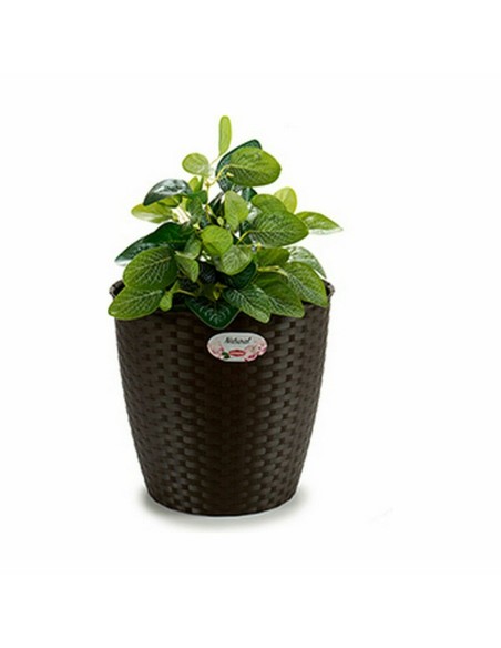 Cache-pot Stefanplast Plastique 29 x 26,5 x 29 cm (6 Unités)