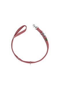 Laisse pour Chien Hunter Rouge 2 m Réglable