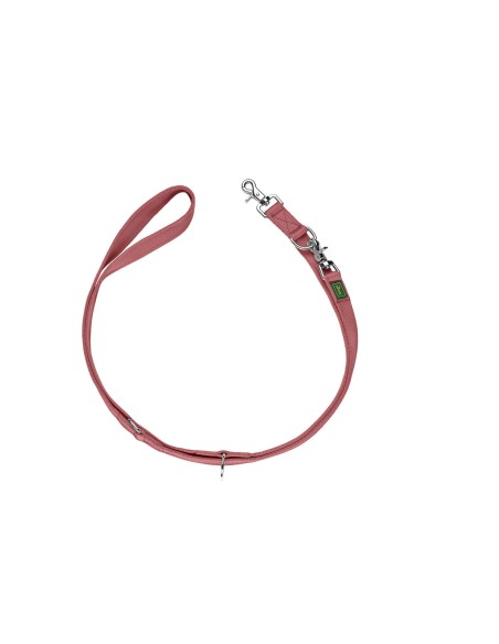 Laisse pour Chien Hunter Rouge 2 m Réglable