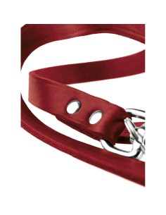 Laisse pour Chien Hunter Rouge 2 m Réglable Cuir 2