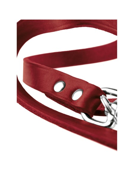 Laisse pour Chien Hunter Rouge 2 m Réglable Cuir
