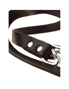 Laisse pour Chien Hunter Marron 2 m Réglable Cuir 2