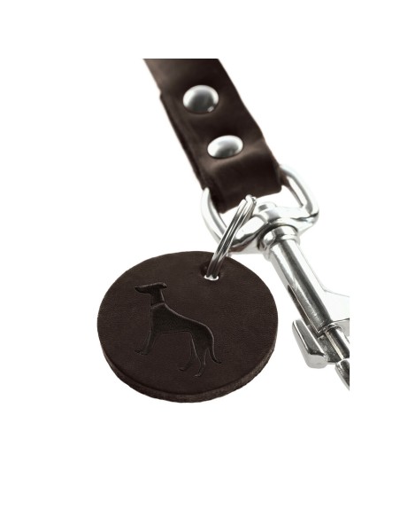 Laisse pour Chien Hunter Marron 2 m Réglable Cuir