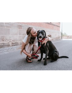 Laisse pour Chien Hunter Rouge 2 m Réglable 2