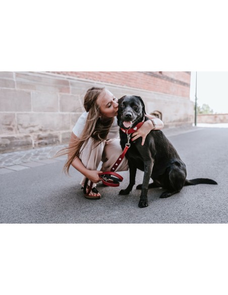 Laisse pour Chien Hunter Rouge 2 m Réglable