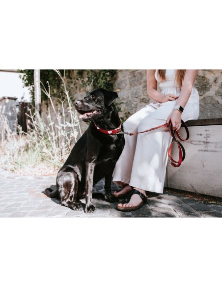 Laisse pour Chien Hunter Rouge 2 m Réglable
