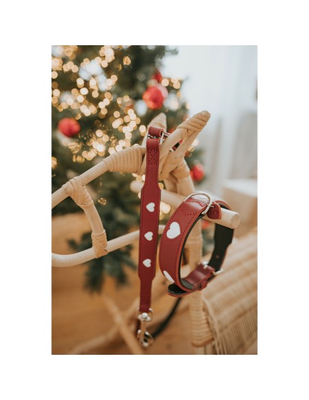 Laisse pour Chien Hunter Rouge 2 m Réglable
