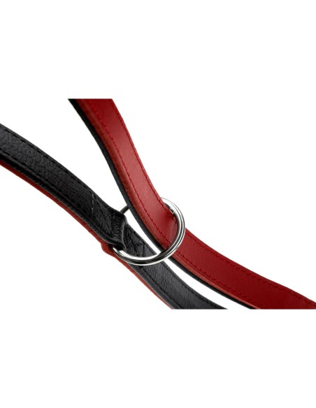 Laisse pour Chien Hunter Rouge 2 m Réglable