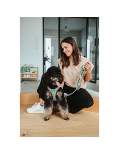 Laisse pour Chien Hunter Vert 2 m Réglable 2
