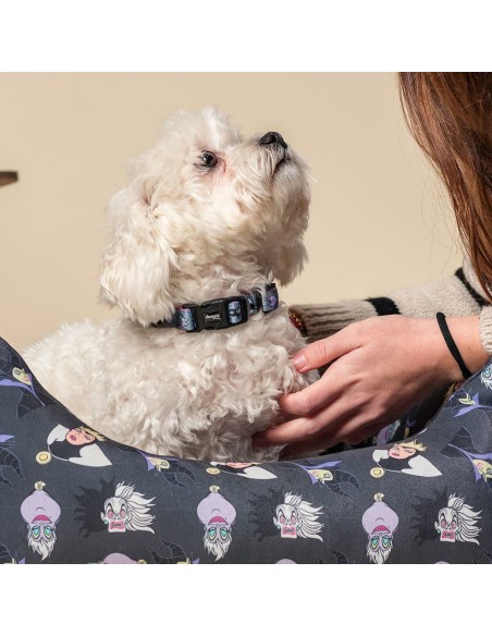 Collier pour Chien Disney Gris