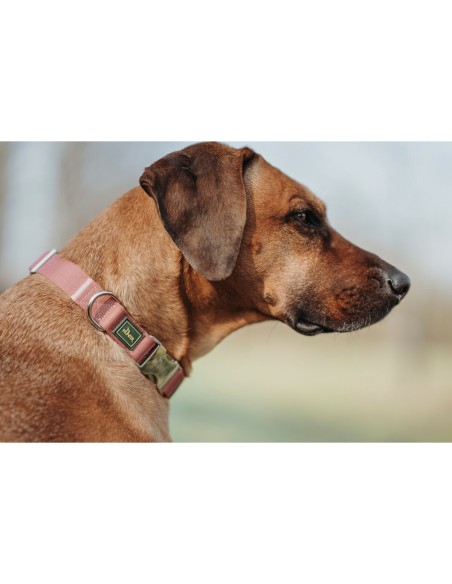 Collier pour Chien Hunter Rouge 40-55 cm L