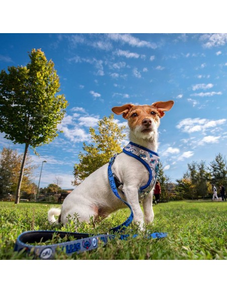 Harnais pour Chien Stitch Bleu foncé