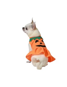 déguisement pour chien Citrouille Taille M