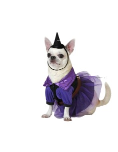 déguisement pour chien Sorcière Taille S