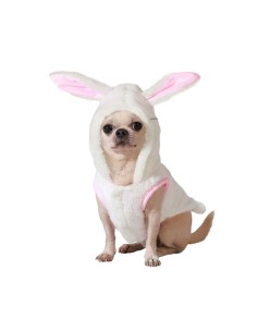 déguisement pour chien Taille L Lapin