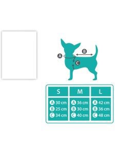 déguisement pour chien Taille S Danseuse de Flamenco 2