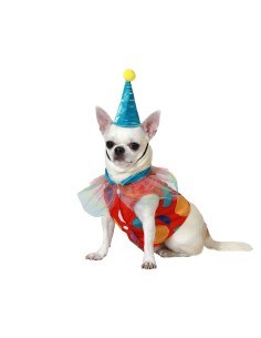 déguisement pour chien Taille L Clown