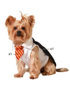 déguisement pour chien Taille S Magicien