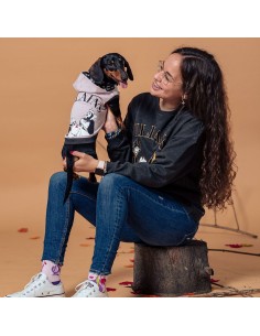 Pull pour Chien Disney M 2