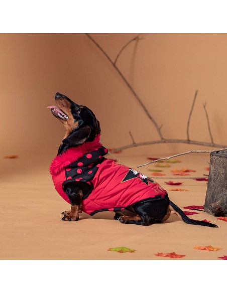 Manteau pour Chien Minnie Mouse Rouge L
