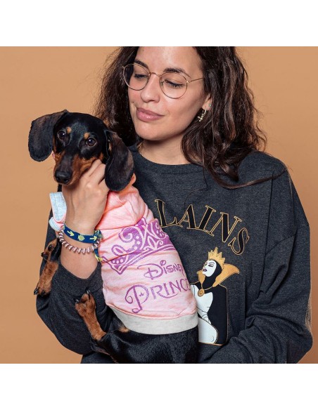 Pull pour Chien Disney Princess Princess XS