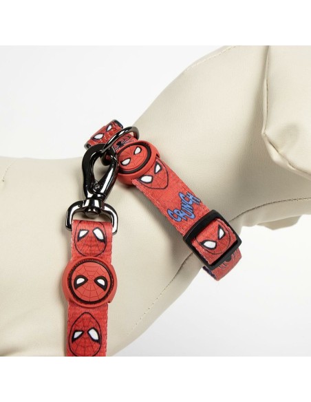 Laisse pour Chien Spider-Man