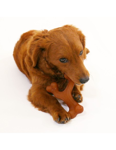 Jouet pour chien Nylabone 20 Marron animaux