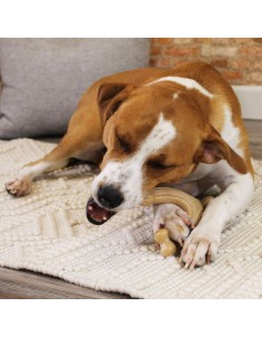 Jouet pour chien Nylabone Poulet 11 Crème animaux 2