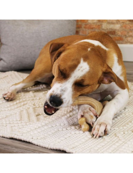 Jouet pour chien Nylabone Poulet 11 Crème animaux
