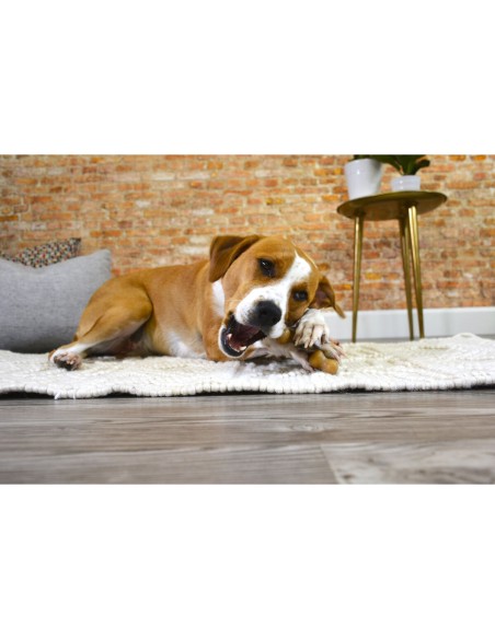Jouet pour chien Nylabone Poulet 11 Crème animaux