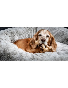 Jouet pour chien Nylabone Poulet 20 Crème animaux 2