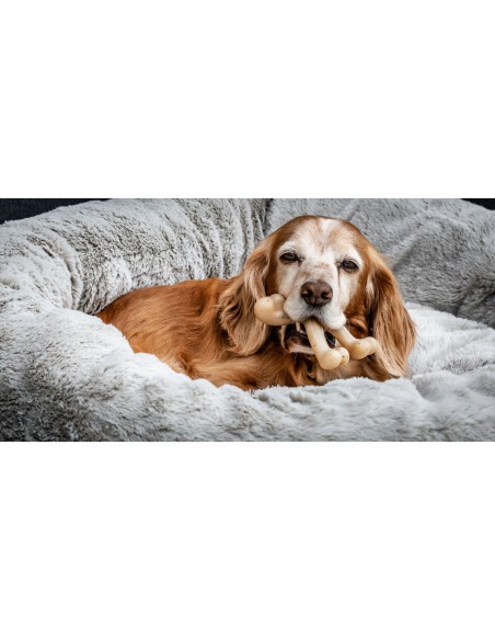 Jouet pour chien Nylabone Poulet 20 Crème animaux