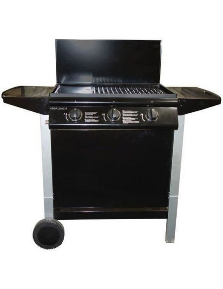 Barbecue à gaz Grill Garden 10,5 KW (62 x 42 cm)