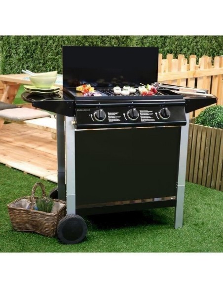 Barbecue à gaz Grill Garden 10,5 KW (62 x 42 cm)