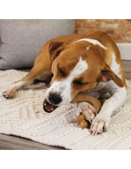 Jouet pour chien Nylabone 11 Marron animaux