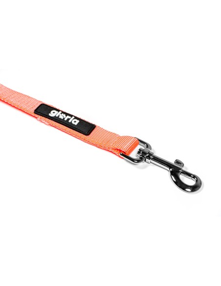 Laisse pour Chien Gloria Orange S