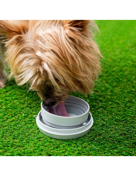 Laisse de chien rétractable 6 en 1 Leashic InnovaGoods