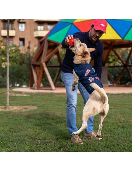 Veste pour chien Marvel