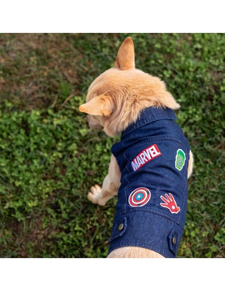 Veste pour chien Marvel