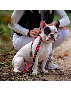 Laisse pour Chien Marvel 2
