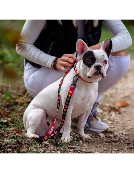 Laisse pour Chien Marvel