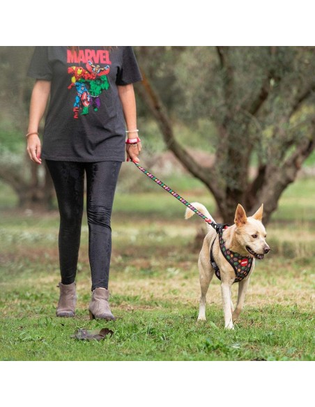 Laisse pour Chien Marvel